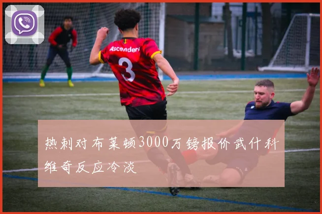 热刺对布莱顿3000万镑报价武什科维奇反应冷淡