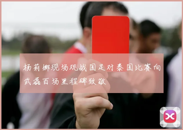 杨莉娜现场观战国足对泰国比赛向武磊百场里程碑致敬
